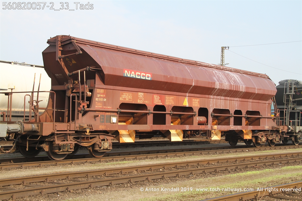 560820057-2_33_Tads.JPG